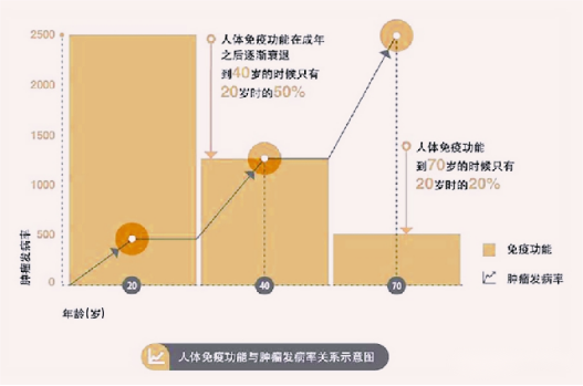 NK细胞，人体强大的抗癌前锋