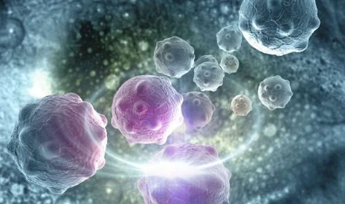 研究表明：干细胞有效干预自身免疫性疾病