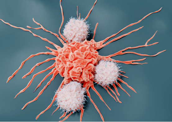 深入探究：免疫细胞疗法如何击退肿瘤的威胁？