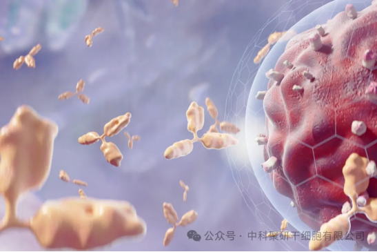 健康守护—有结节怎么办？